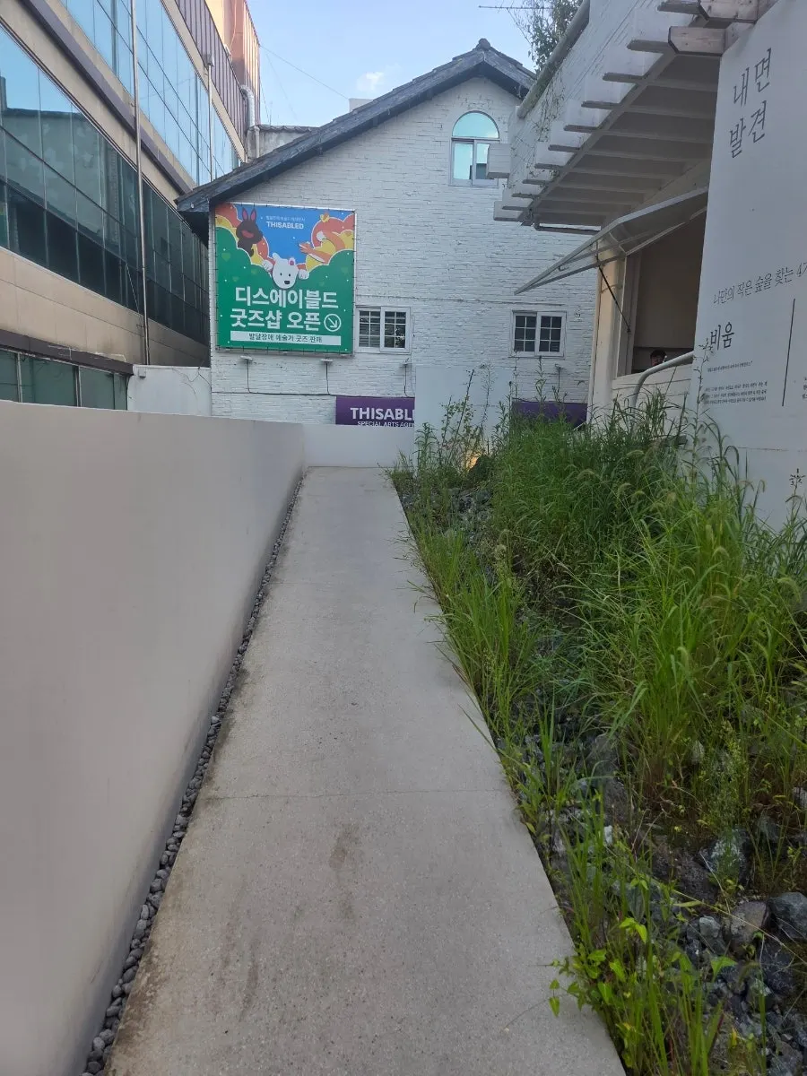 현무암 돌담과 식물로 꾸며진 입구