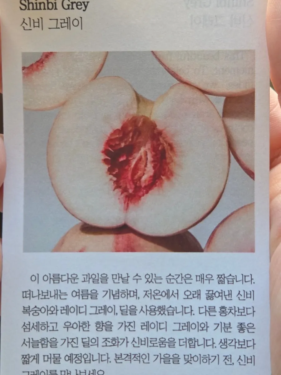 딜 허브가 올라간 시즌 티 신비 그레이
