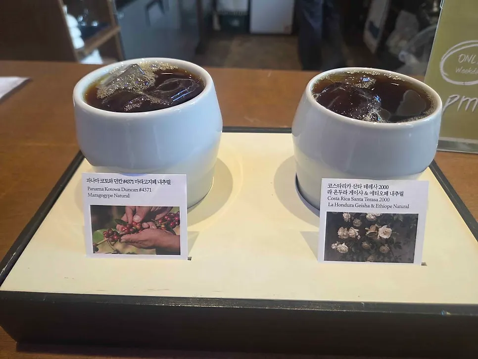 Two cups of Panama Koto & Duncan and Costa Rica Santa Teresa coffee