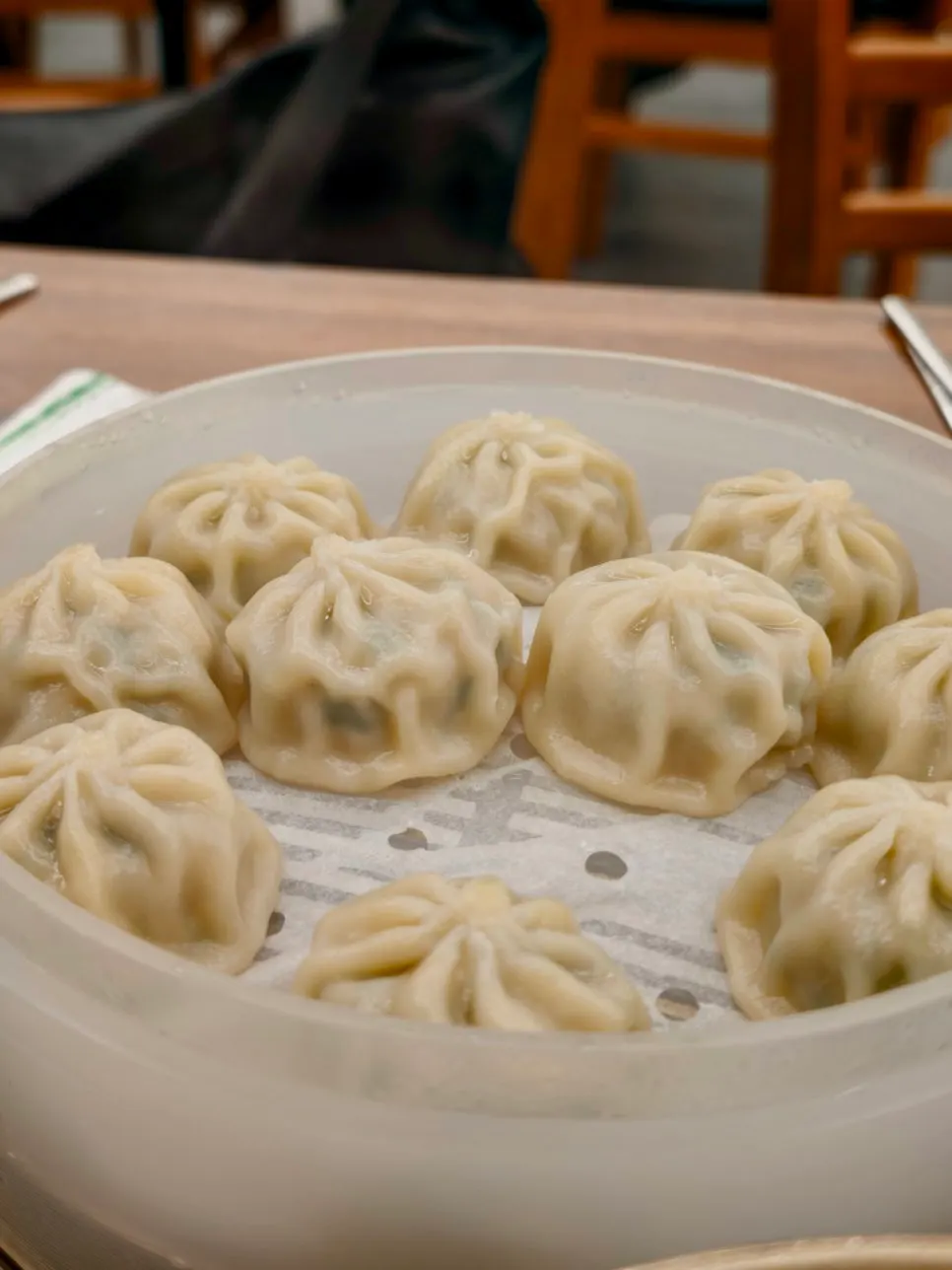 A plate of 10 gyoza dumplings