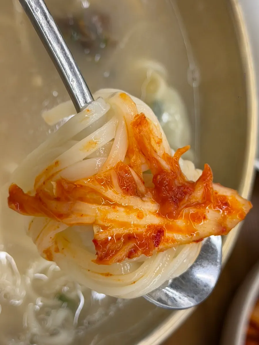 고기 고명 넉넉한 강남교자 칼국수