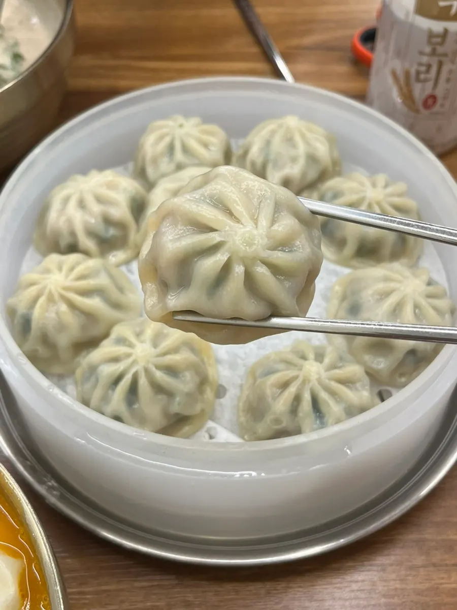 熱氣蒸騰的一盤餃子