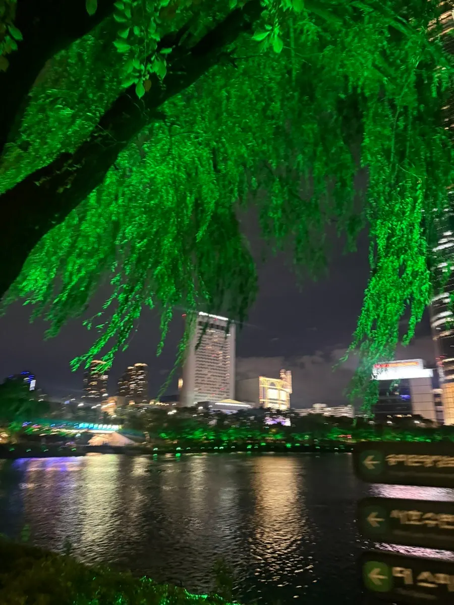 Night view of Seokchon Lake after dinner