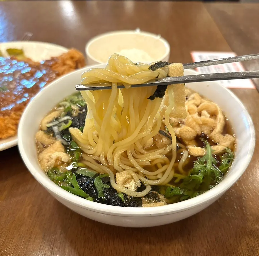 Close-up of udon noodles and broth