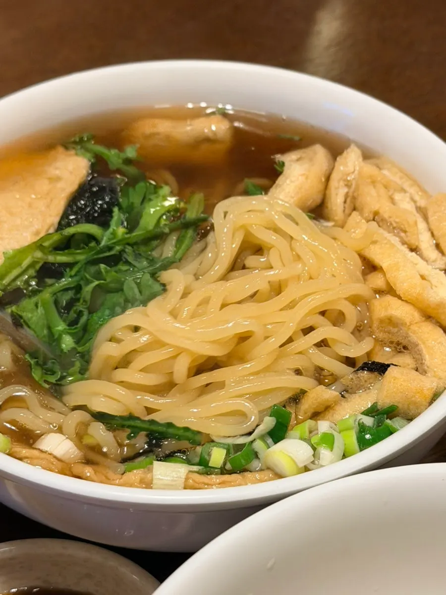 Lifting up a strand of plump udon noodles