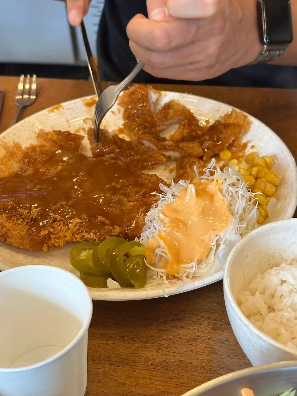 Old-style pork cutlet topped with sauce and cabbage salad