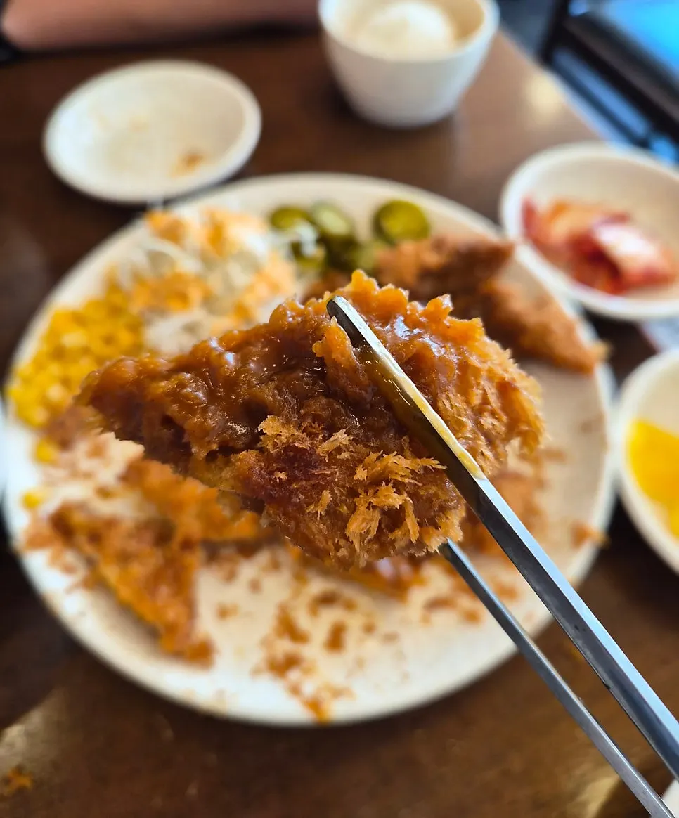 우동과 돈까스로 차린 한 끼