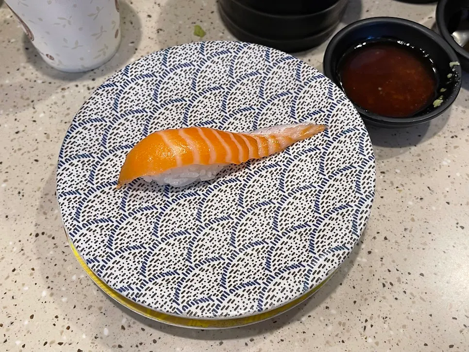 촉촉한 연어 초밥 접시