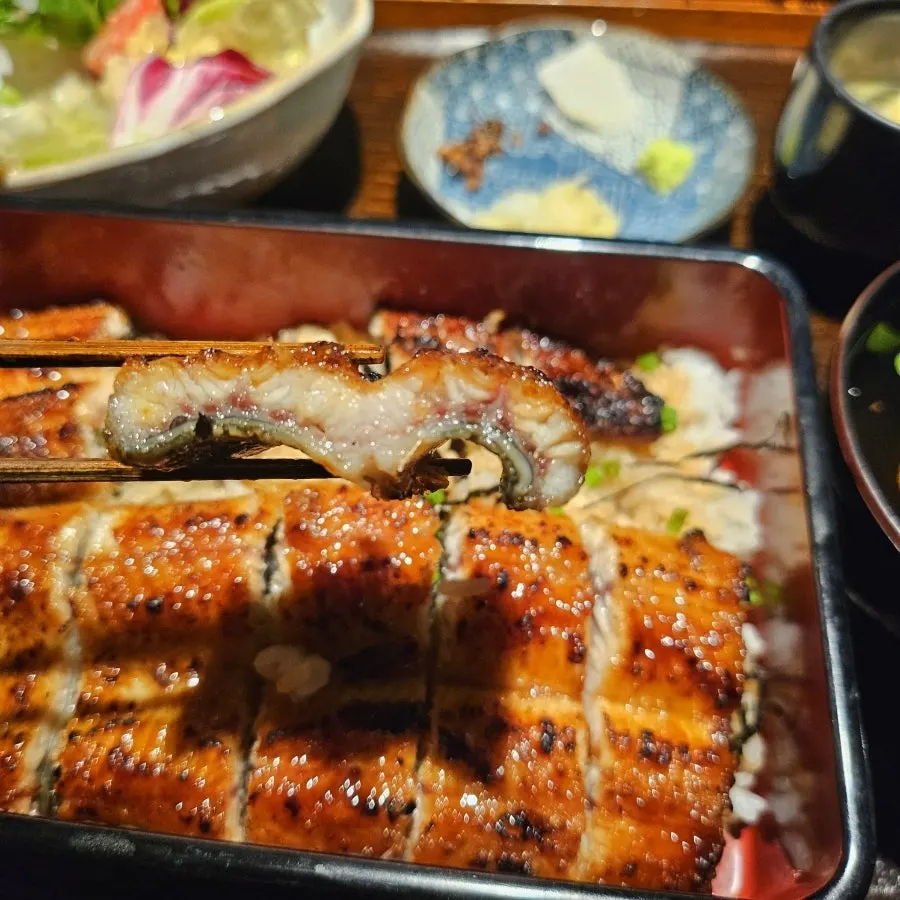 윤기 흐르는 장어덮밥 클로즈업