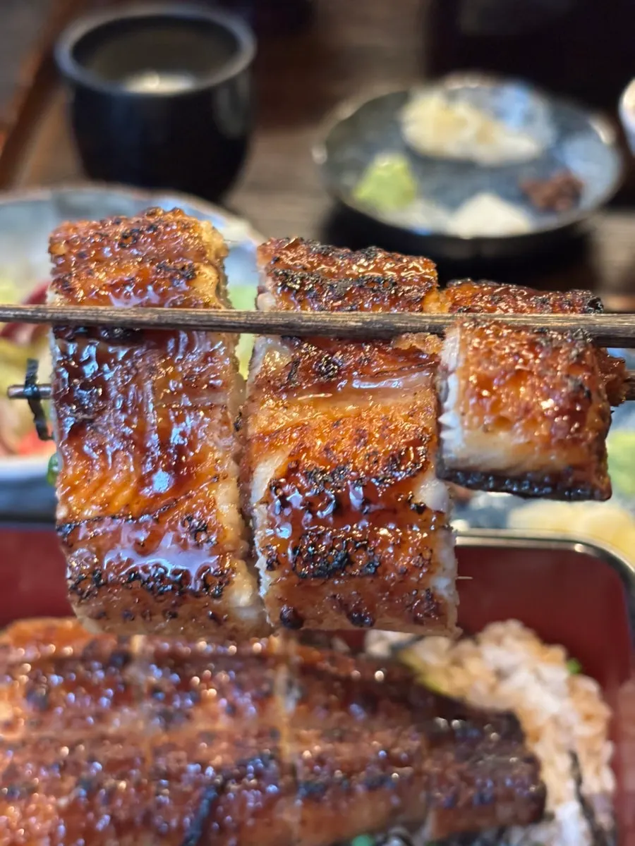 Glossy whole eel rice bowl in a lacquered box