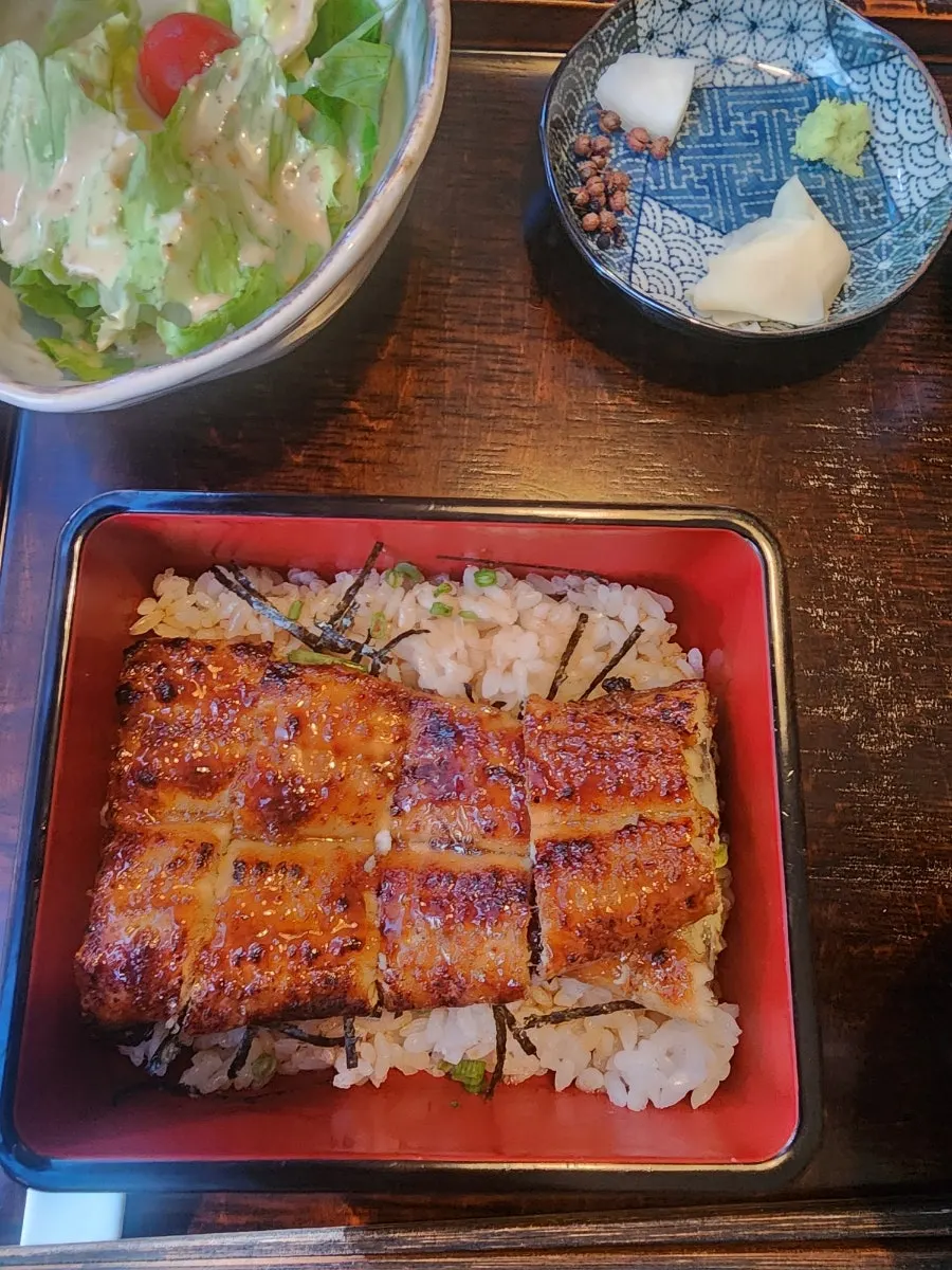 Restorative whole eel rice bowl meal for a student