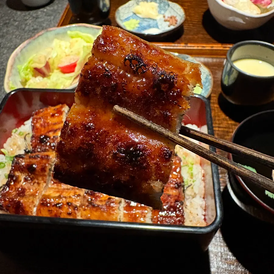 Thick eel infused with sauce