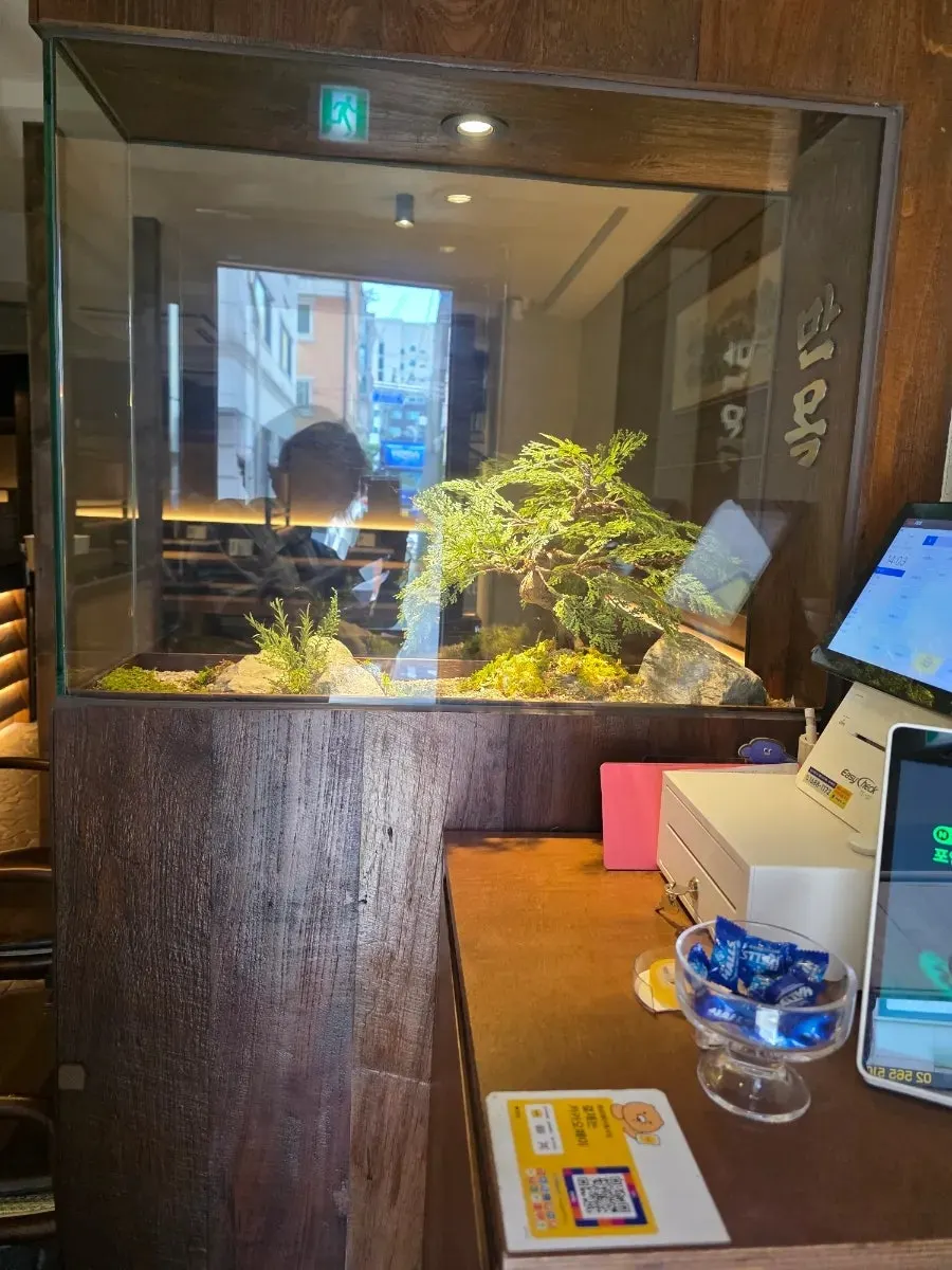 A small fish tank placed on one side of Manmok