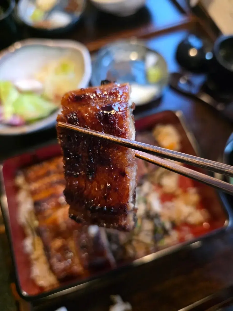 A piece of eel lifted with chopsticks