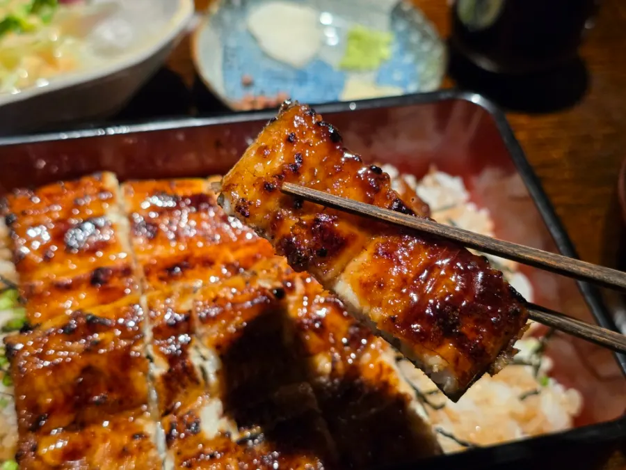 Charcoal-grilled eel on an eel rice bowl