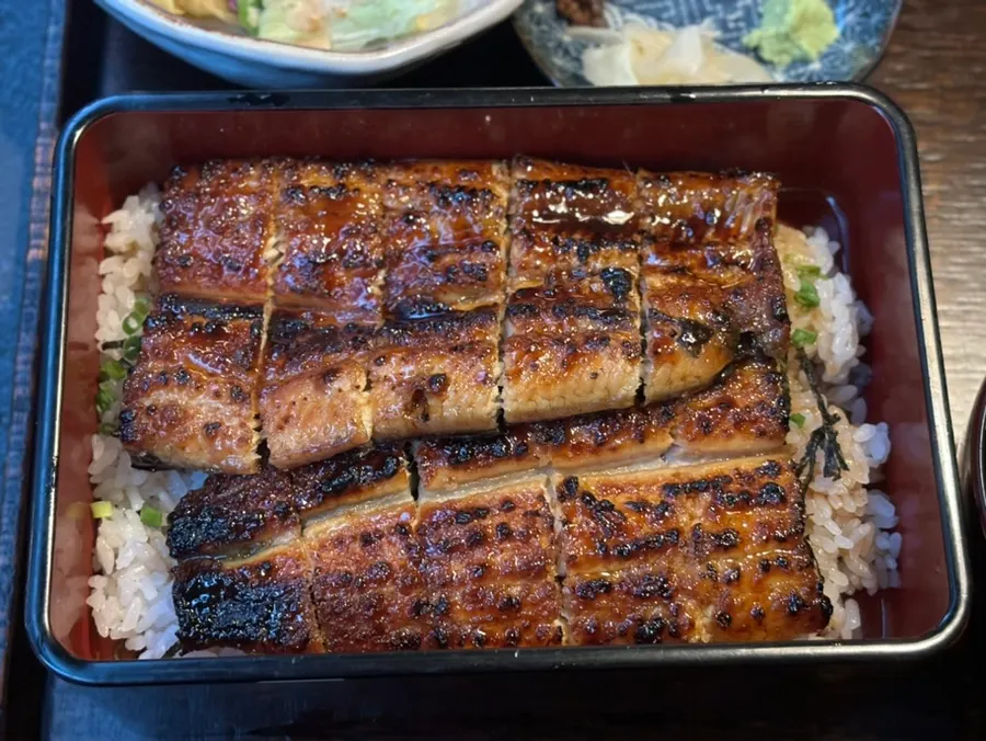 Half-portion eel rice bowl