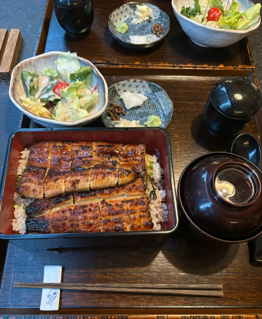 Appetizing eel rice bowl
