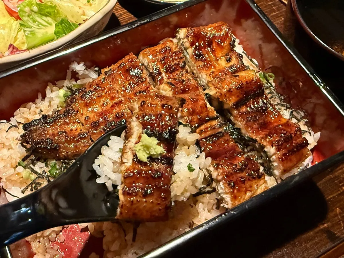 Eel rice bowl with soy sauce