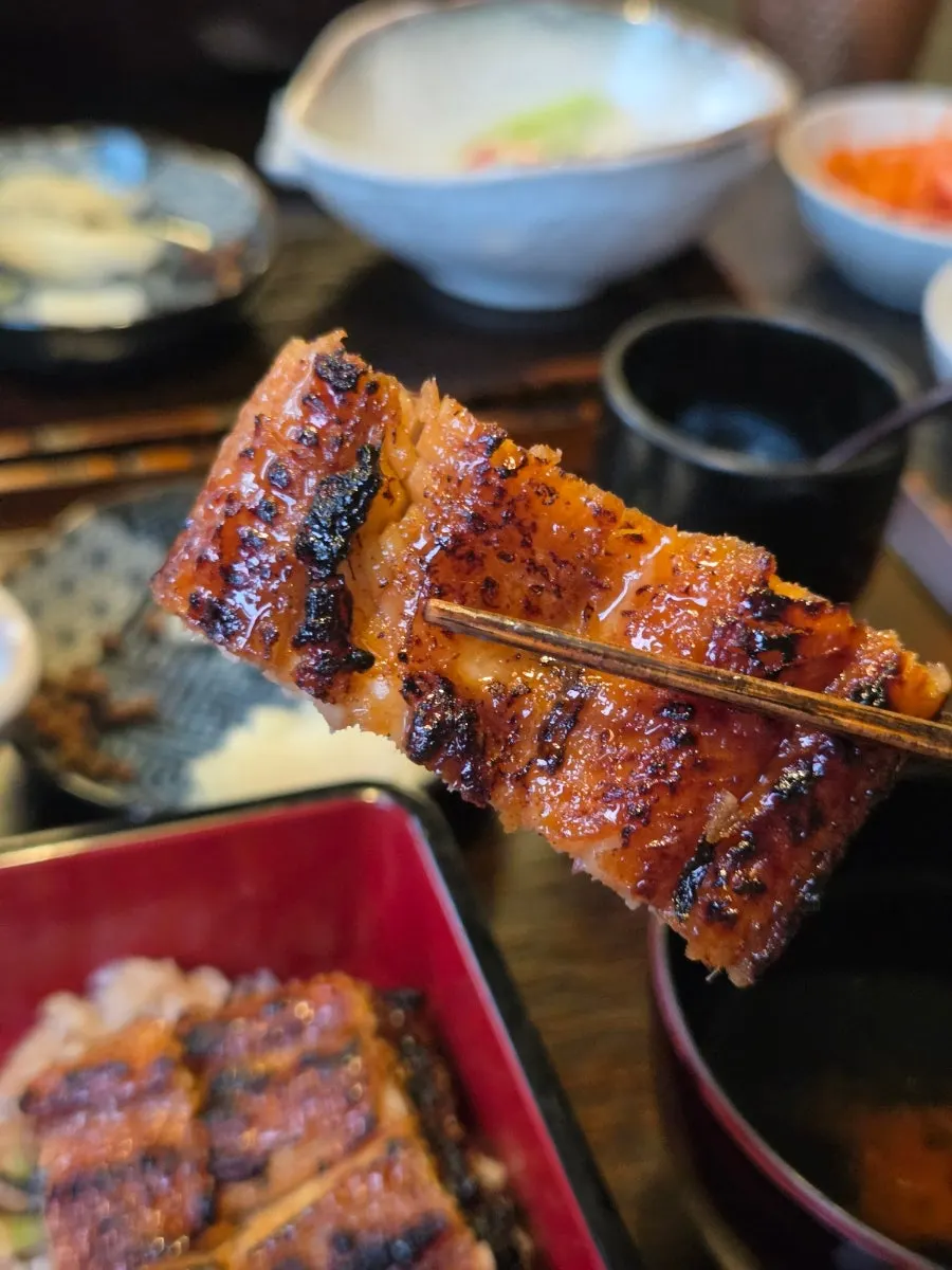 Half-portion bowl topped with thick cuts of eel