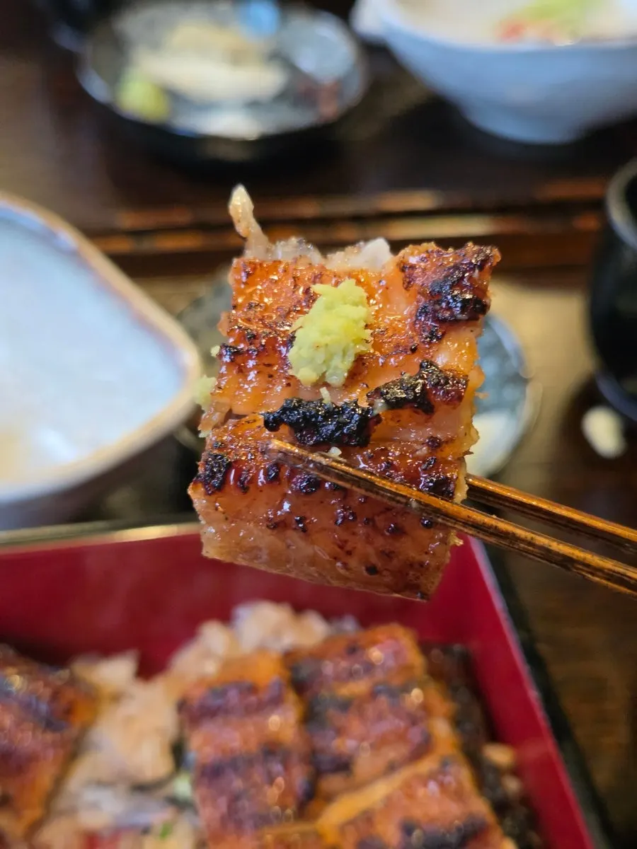 Close-up of the eel rice bowl drizzled with soy sauce