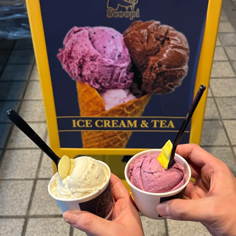 애플망고와 시칠리아 피스타치오 맛보기 스푼
