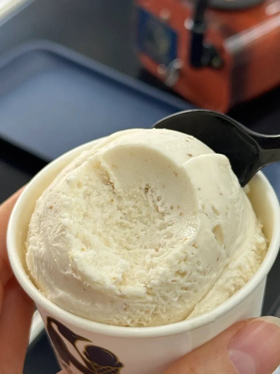 Close-up of Fig Cream Cheese gelato with visible fig flesh