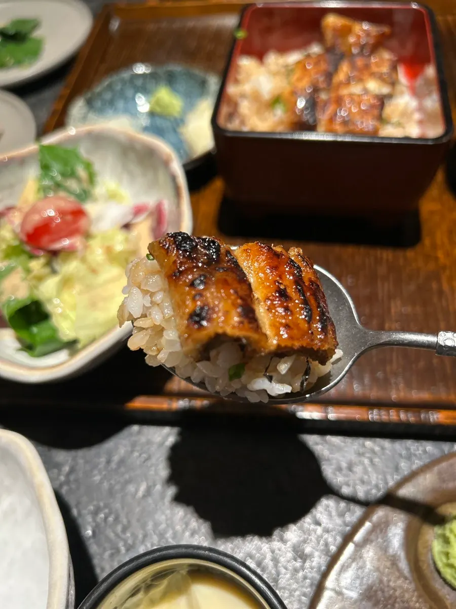 Charcoal-grilled eel on the eel rice bowl
