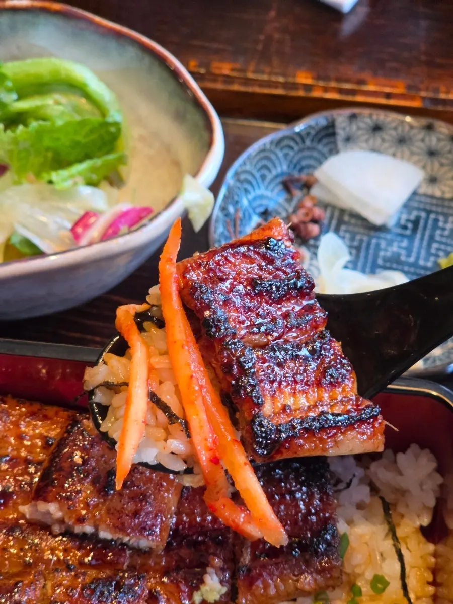 Soy sauce-glazed eel rice bowl