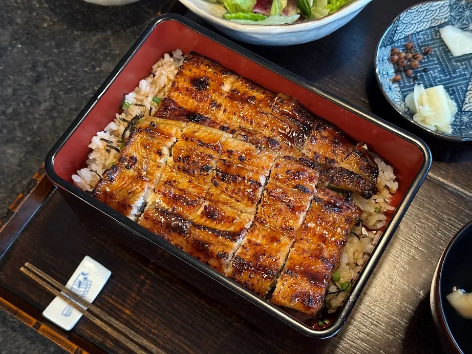 Close-up of eel rice bowl made with Gochang freshwater eel