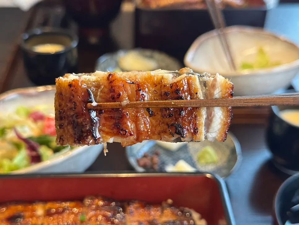 A bite of eel rice bowl paired with radish salad