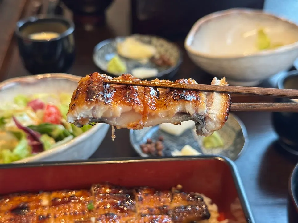 Rice bowl showing the soft eel flesh