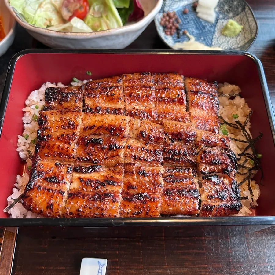 Eel rice bowl with wasabi and ginger on the side