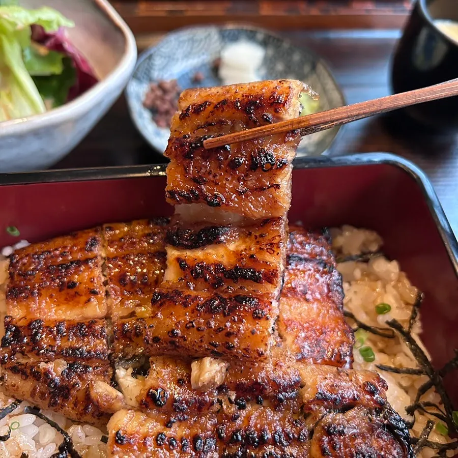 Close-up of plump charcoal-grilled eel