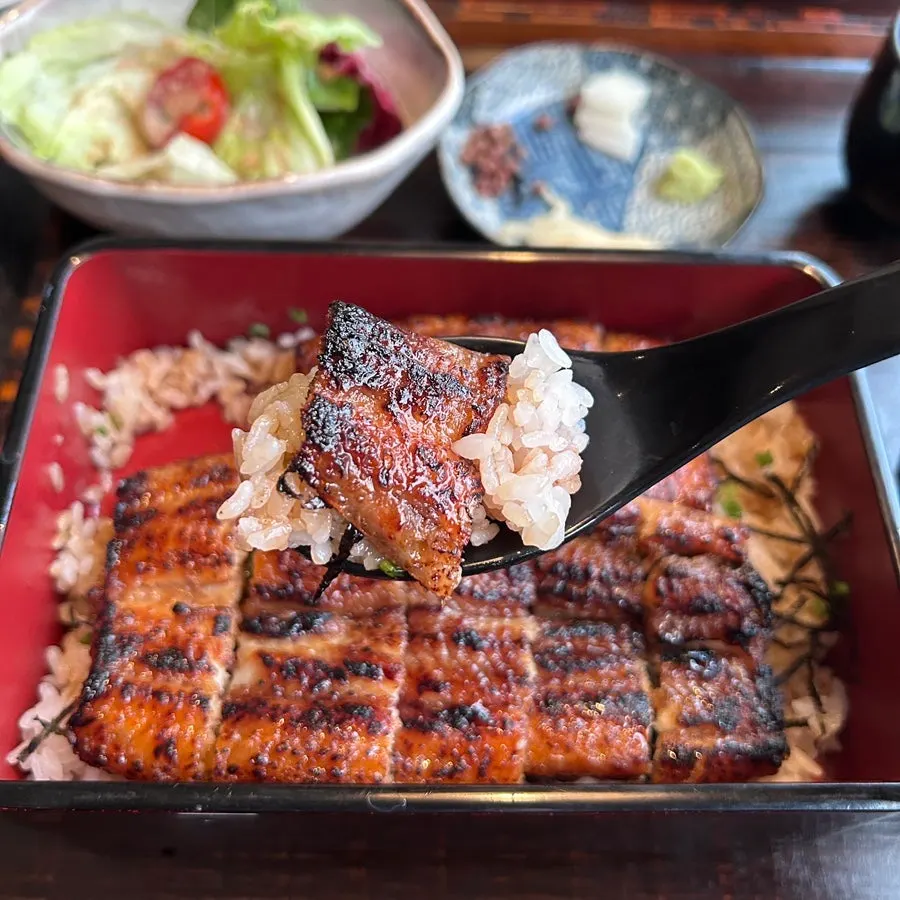 A spoonful of eel and rice