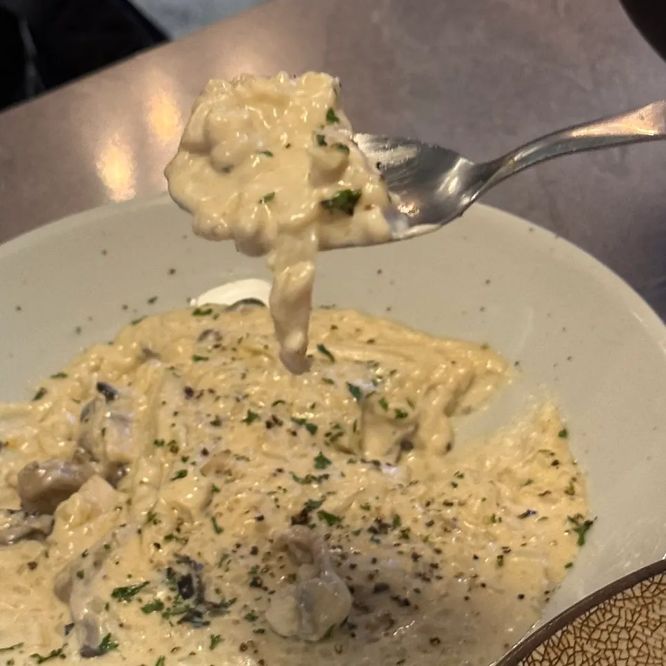 Truffle cream funghi risotto