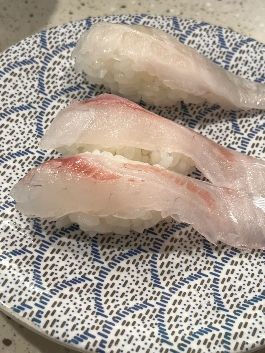 참돔 뱃살과 엔가와 초밥