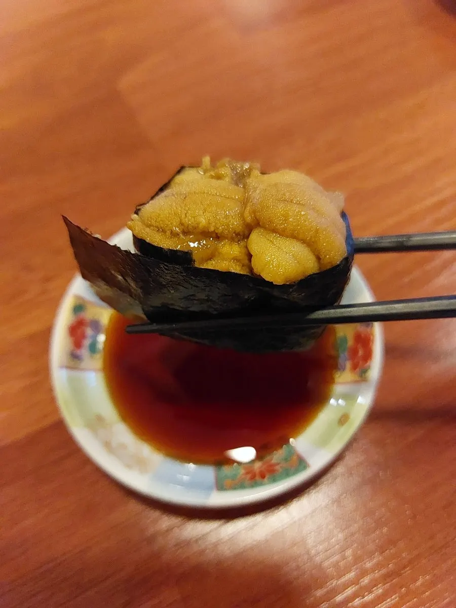 Close-up shot of uni sushi