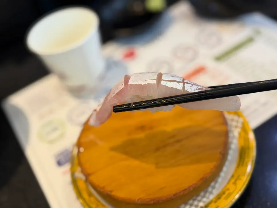 Close-up photo of a sushi plate