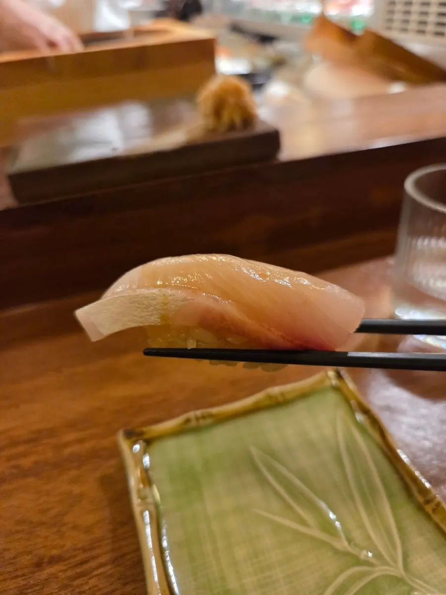 Fatty jaetbangeo (amberjack) nigiri