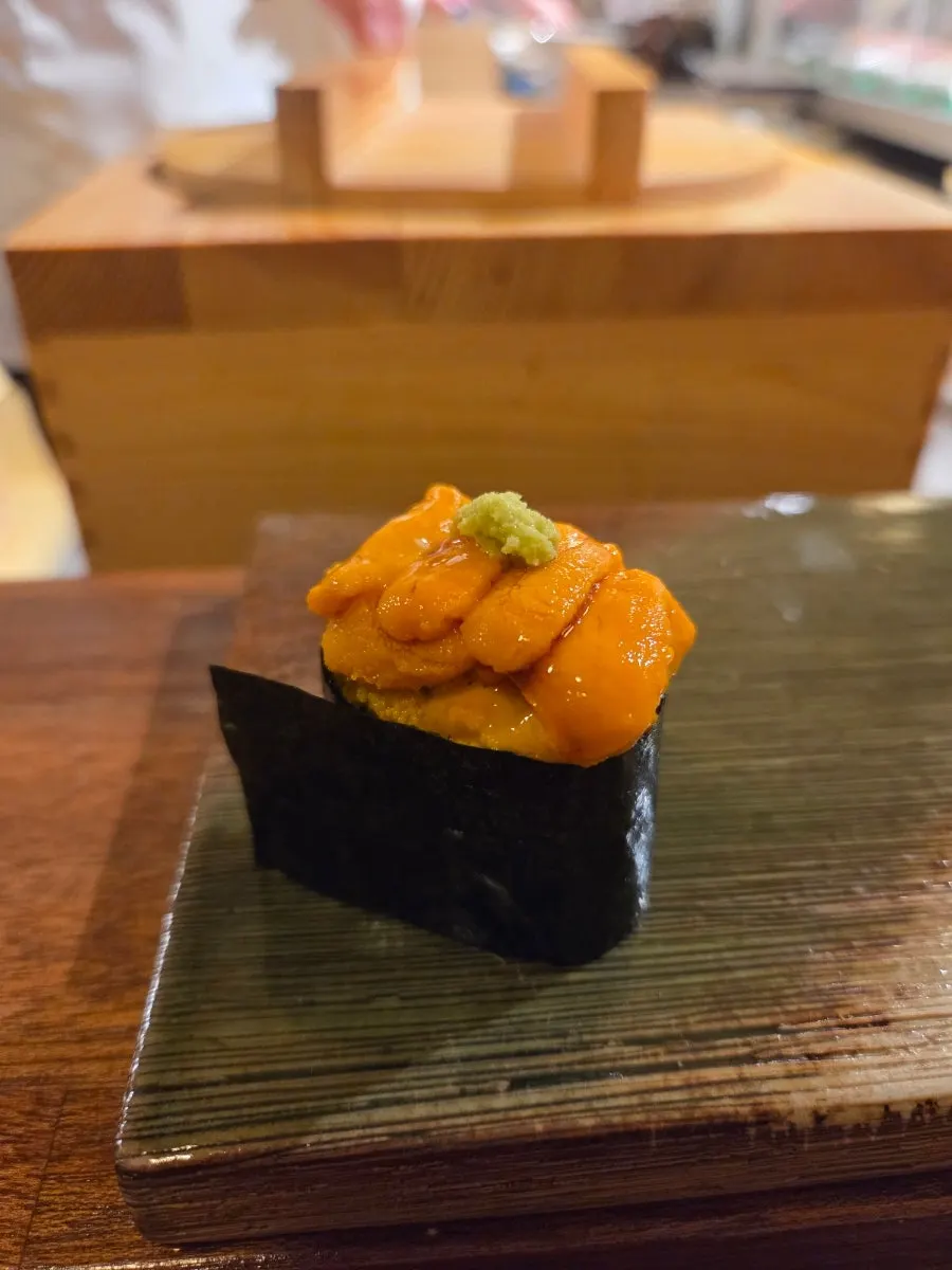 Generously piled uni nigiri