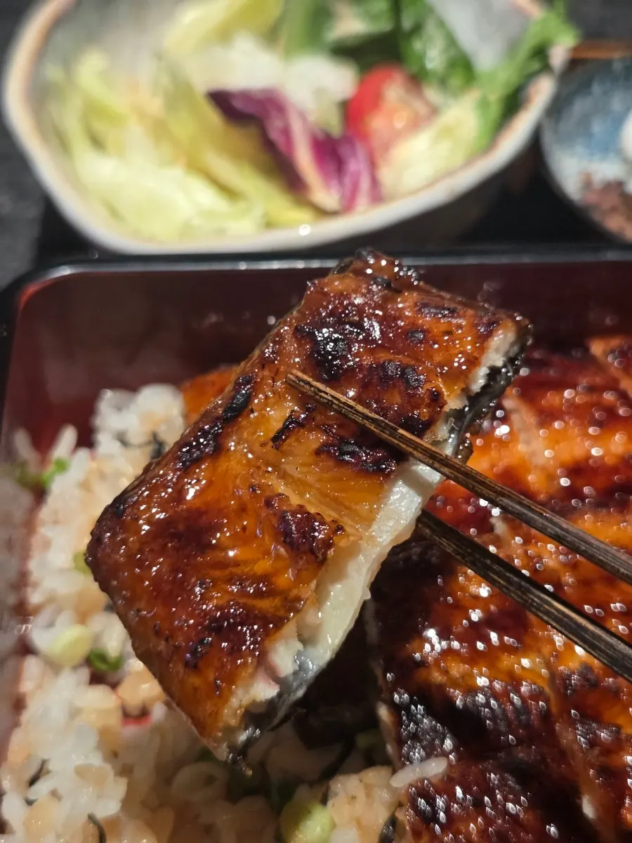 Eel and rice with wasabi