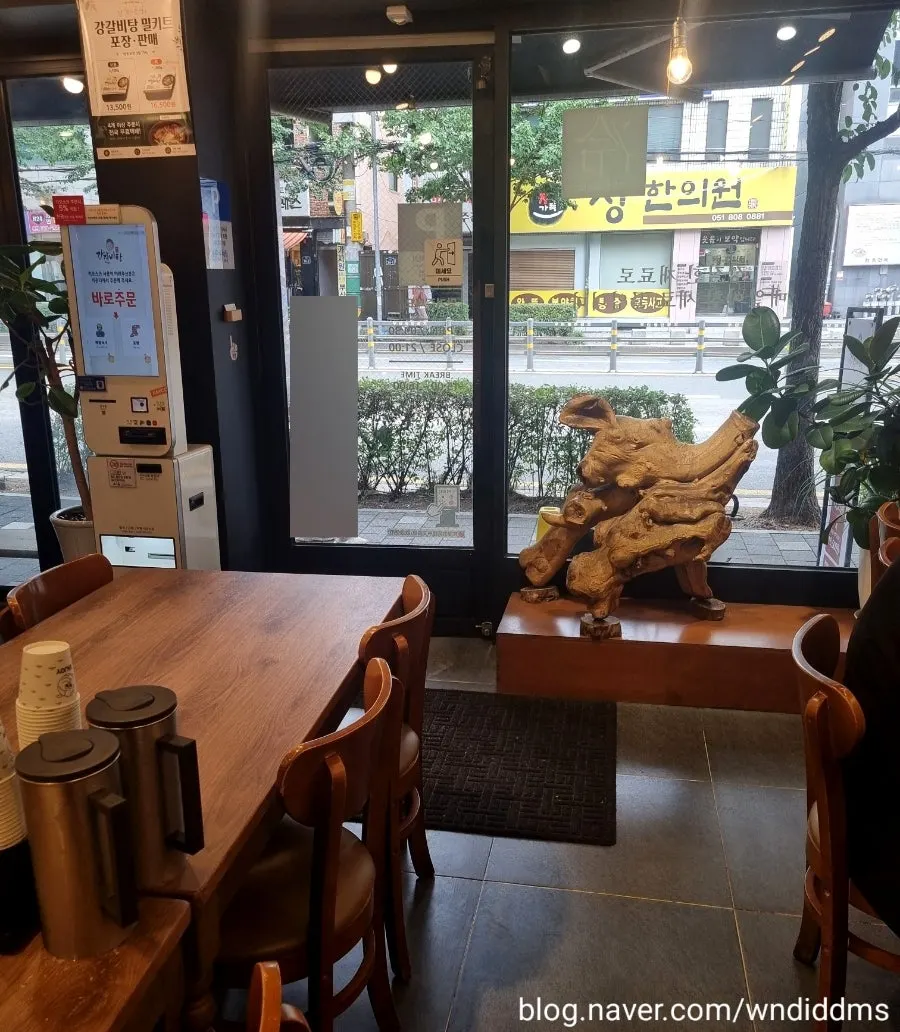 혼밥용 1인석이 있는 매장 좌석