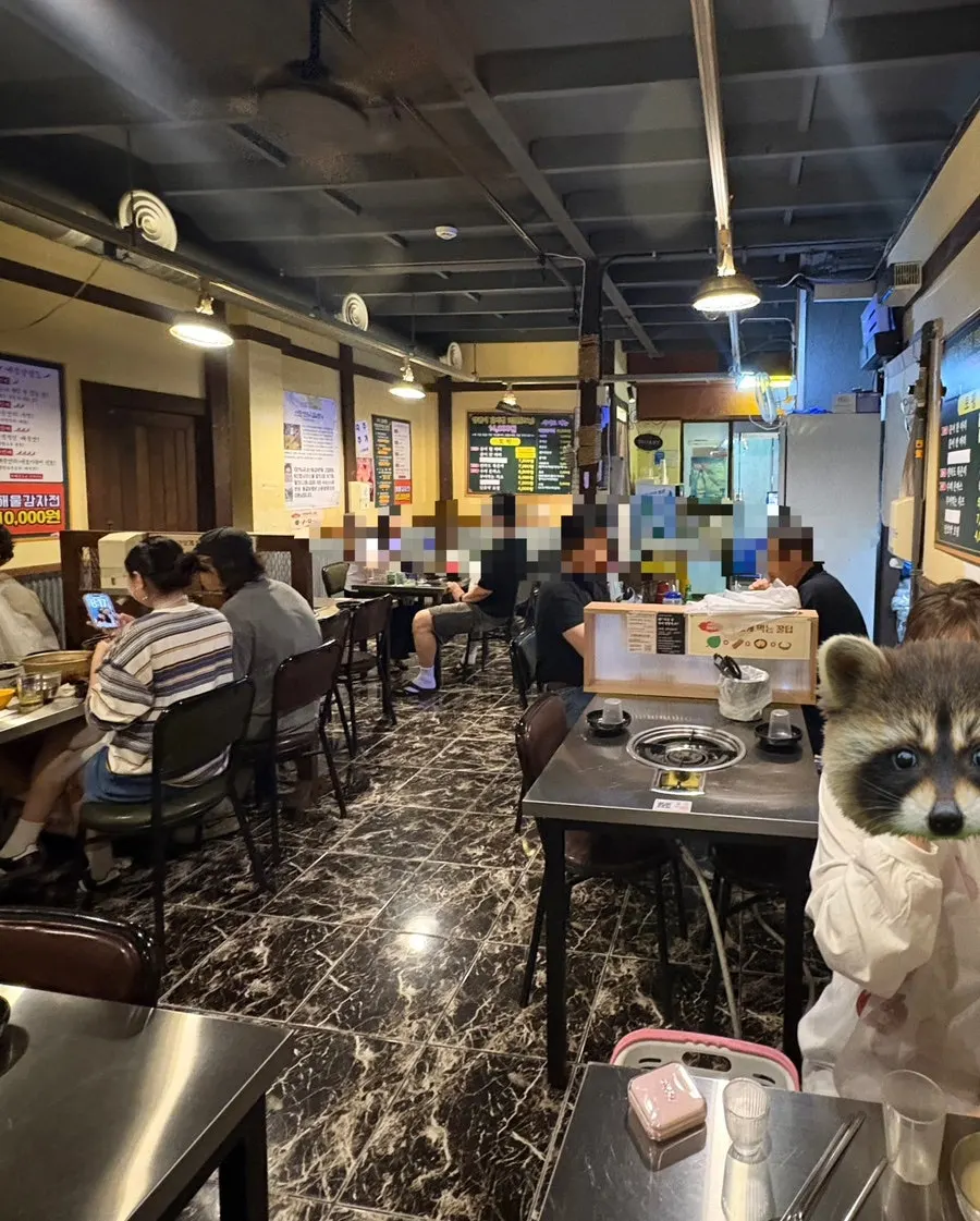 Sinchon Yangpuni's second branch across from the main branch