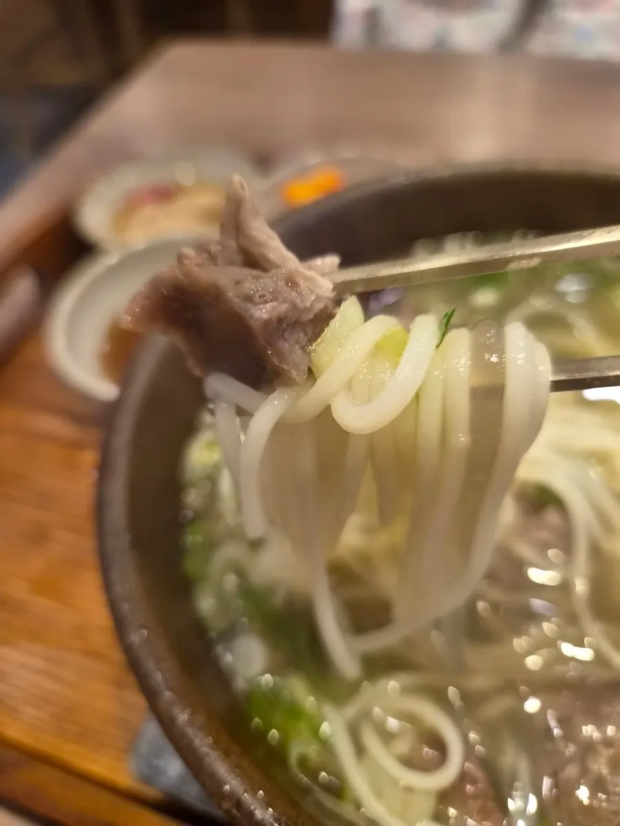 Noodles submerged in broth
