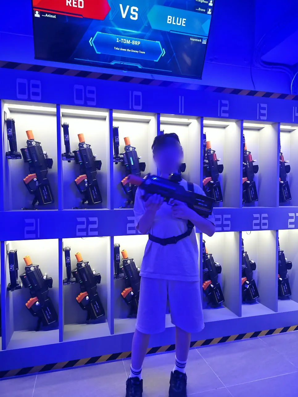 Gun equipped with a holographic sight