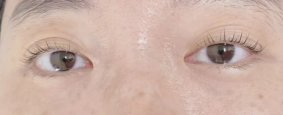 자연스럽게 올라간 속눈썹