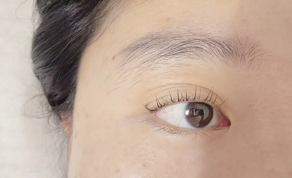 속눈썹펌 후 정돈된 컬링