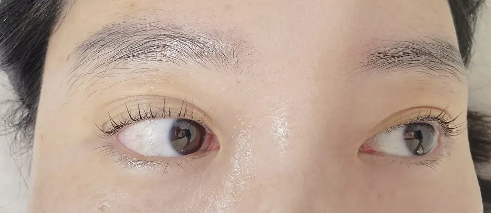 뷰러 없이 올라간 속눈썹