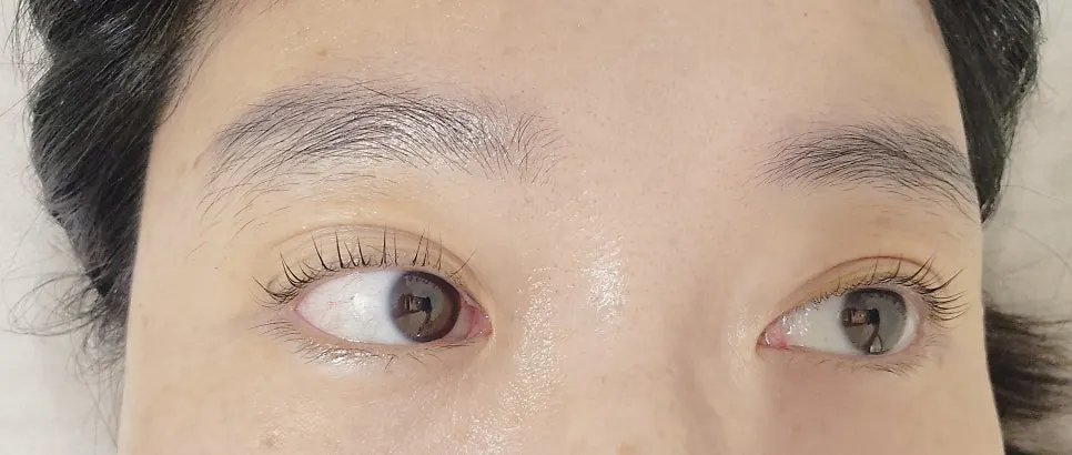 스크류 브러쉬로 정돈한 속눈썹