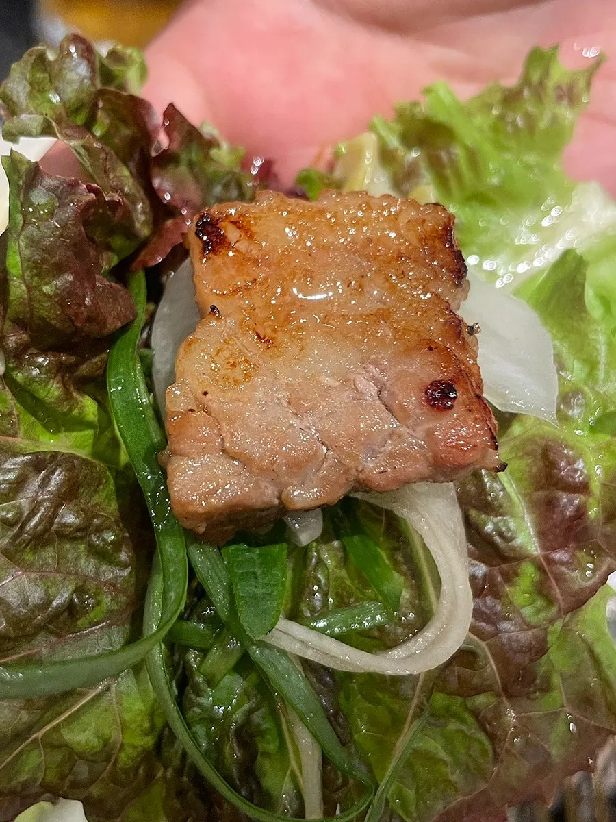 노릇하게 구워진 양념돼지갈비 한 점